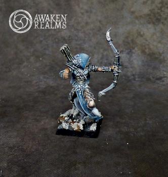 Wood Elves Waywatcher Lord by Awaken Realms