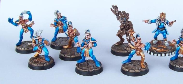 Blood Bowl Wood Elf Team : Caprice Royal by SSB