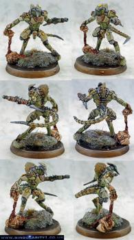 Skiavoros, Combined Army by singularity