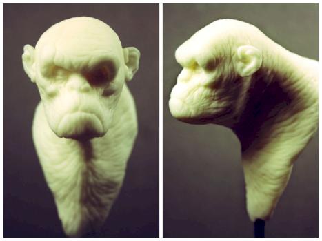 Primate Bust 70 mm by giorgosts