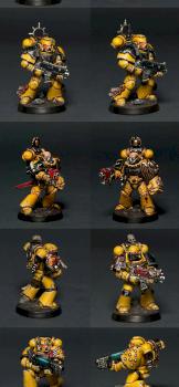 Imperial Fists Squad by Totem Pole