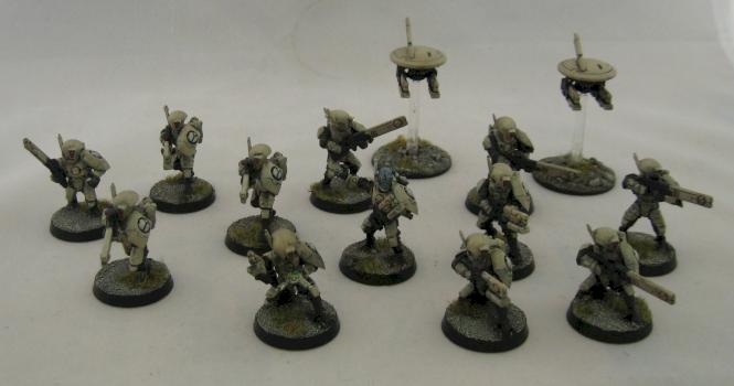 Tau fire warrior team by stphn shphrdayahoo.c