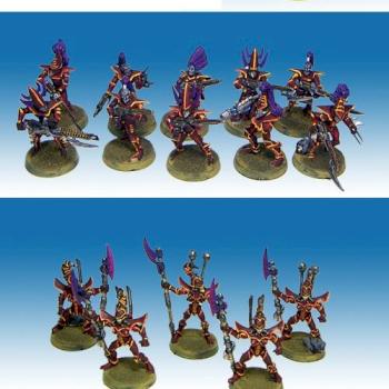 Dark Eldar Army by GretchinDeathKommand