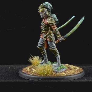 Male Elven Dual Wield Warrior from Dark Sword Miniatures by BigBeefyProductions