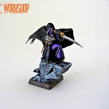 Dark Elves - Assassin by Demonic_Workshop