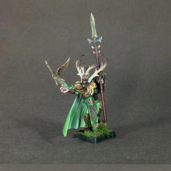 Araloth - Wood Elves by Oil Painted Minis