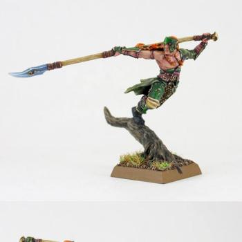 Gamezone Wood elves Lord by Tigershark Infinite