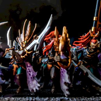 Dark Elf Corsairs by pie_masters