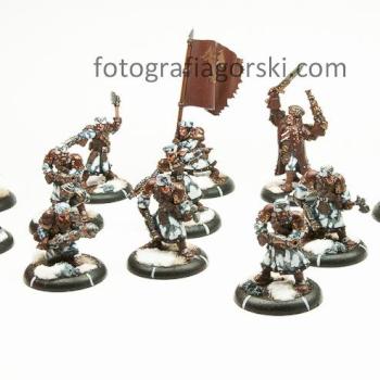 Khador Winter Guard by AndrutPL