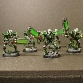 Necron Immortals by Stephen