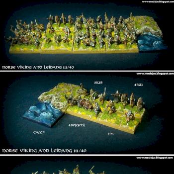 Norse Viking and Leidang III/40 DBA army by Maciejus_exe