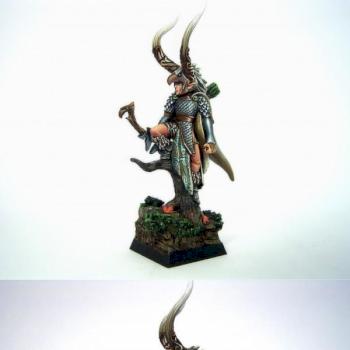 wood elves champion by derwish