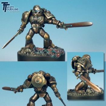 Marine full TMP with 2 swords by dim69