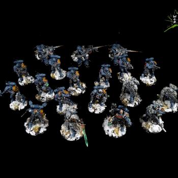 Warhammer 40K Shadowspear Space Wolves Done by CroWarGamePainting