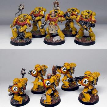 Imperial Fists Combat Squad 1 by Wickedcarrot