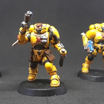 imperial fist Primaris Reivers by Cainnech