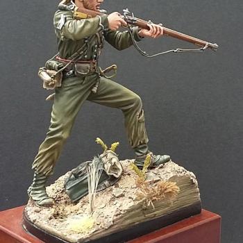 Sgt 95th Rifle Regiment 1806 by TerryM