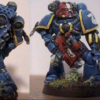 Ultramarine's vet. Sergeant by War dog