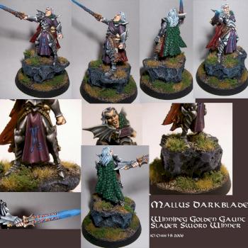 Dark Elf Mallus Darkblade by ve4cib