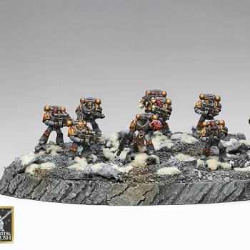 Space Wolves Veterans by Luke Slothower