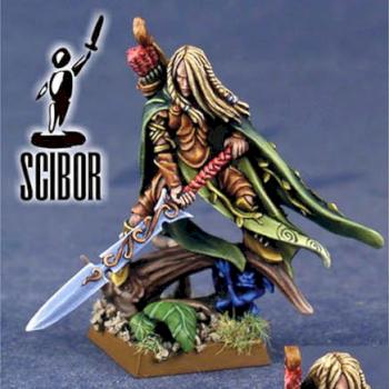 WARHAMMER Wood Elf Highborn  PAINTED by Scibor