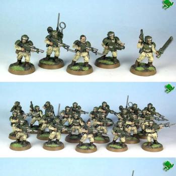 Cadian Shock Troops by hashmallum