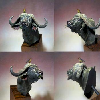 Buffalo bust by bragon