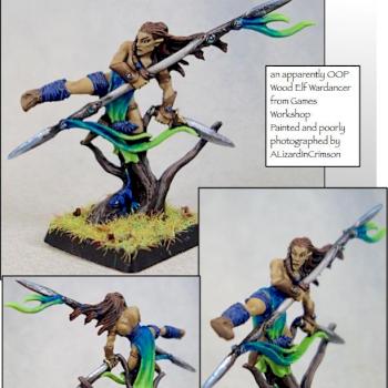 wood elves wardancer oop by ALizardInCrimson