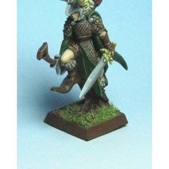 Converted Wood Elf Lord by ExpYouthSLAYER69