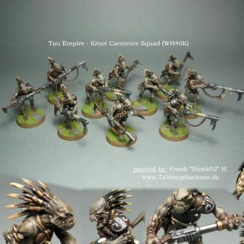 Kroot Carnivore Squad by Hawk02