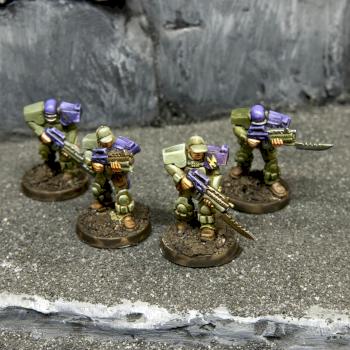 Capitol Troopers for Warzone by WarzoneRevivalInitiative