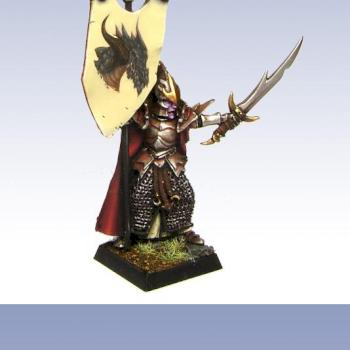 Dark Elf Standard Bearer by raptaparat 2