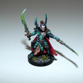 Dark Eldar Duke Sliscus by Tainted Guyver