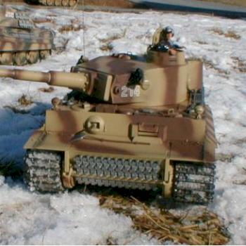 tiger 1 in snow by rmk