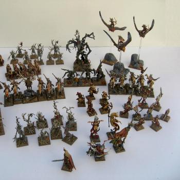 Painted Warhammer Fantasy Wood Elves Army by Demonic_Workshop