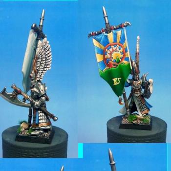 High elf standard bearer by axia