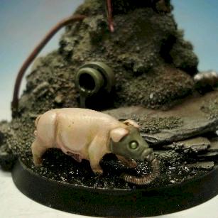 cochon !! by maxime day