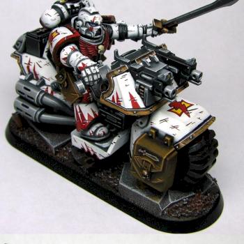 SM White Scars Commander by Sevalsky