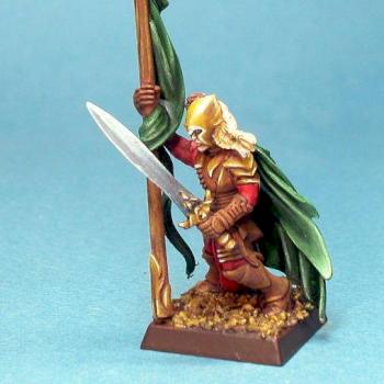 Elf standard bearer by james9487