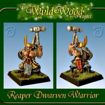 Dwarven Warrior by wintersrainne