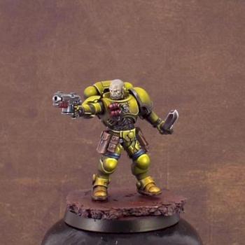 Primaris Marines Reivers - Imperial Fists by risk0