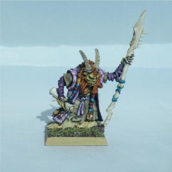 Converted Bray Shaman by Show Case Studio