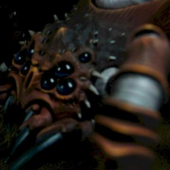 Orcs & Goblins Arachnarok Spider face closeup by Gary Connell