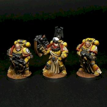 Space marines imperial fists sternguard veterans squad by karpunk