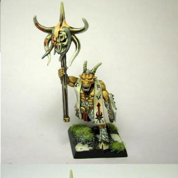 beastman shaman made from gor box better pick by Buyardboss