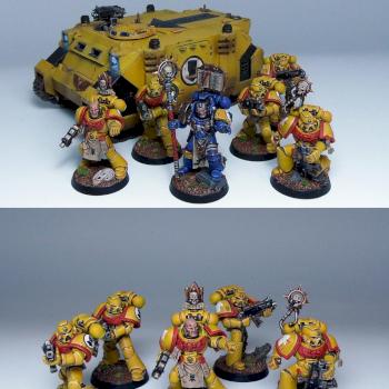 Imperial Fists Combat Squad, Rhino and Librarian by Wickedcarrot