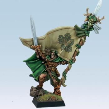 Wood Elf Standard Bearer by krom1415