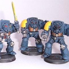 Space Wolf Terminator Squad by Killa