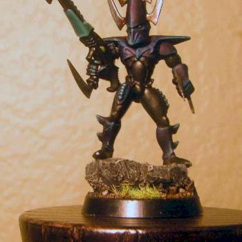 Dark Eldar Warrior by Hamer