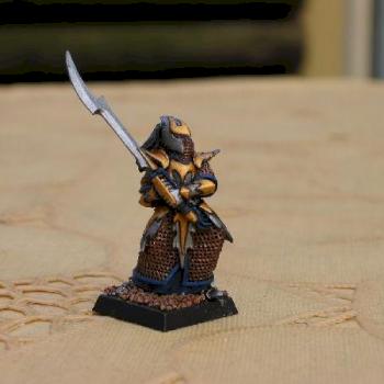 Dark Elf Executioner by aragorn